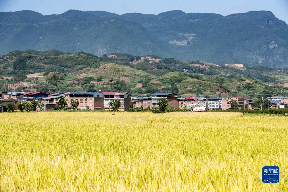 新萄京网址